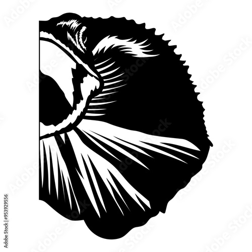 Frilled Neck Lizard Half Face