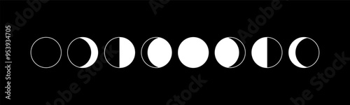 Phases of the moon. Moon phase. New, half and full moons. Vector