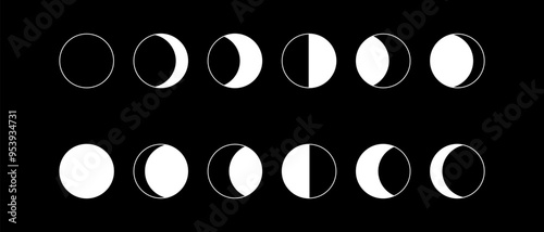 Phases of the moon. Moon phase. New, half and full moons. Vector