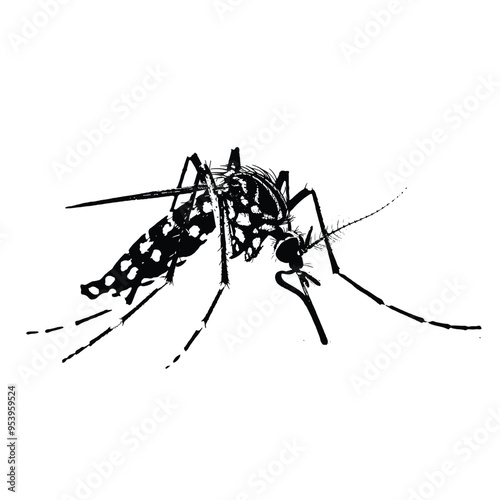 Black and White Mosquito Sketch Art