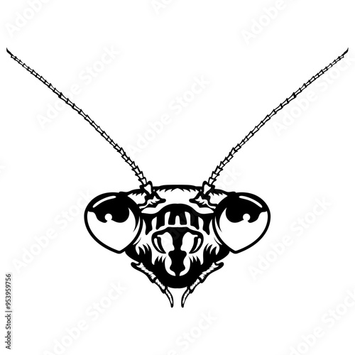 Praying Mantis Face