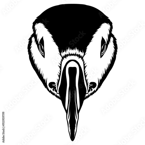 Puffin Face