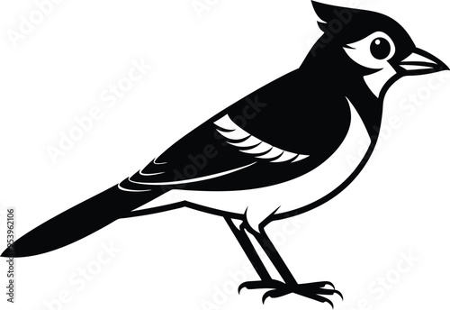 blue jay silhouette vector illustration photo