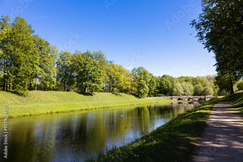 River and green trees under blue sky, summer park