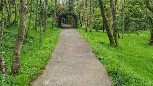 Beautiful green arch in the forest, no one on the path, summer. Slow movement along the path. photo