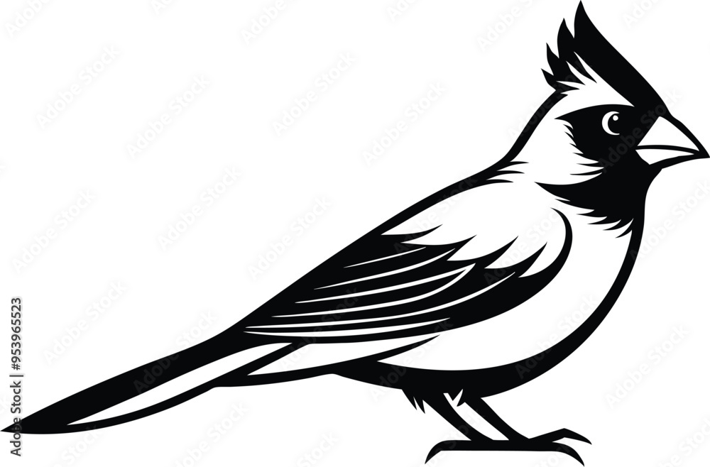 cardinal silhouette vector cardinal silhouette vector