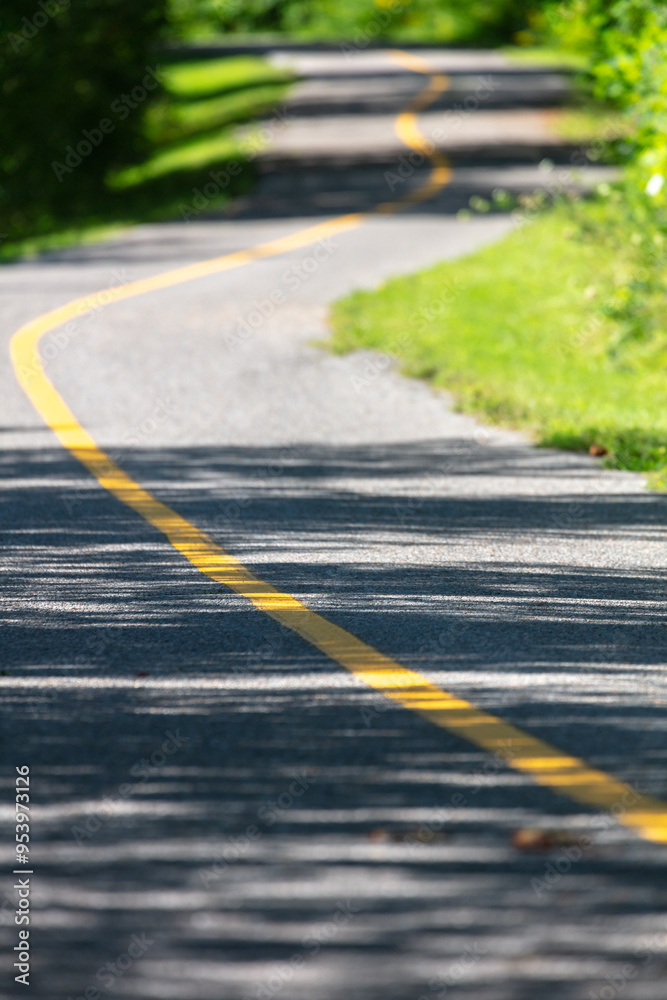 Obraz premium Empty urban cycling path winding through a wooded area on a bright late summer day
