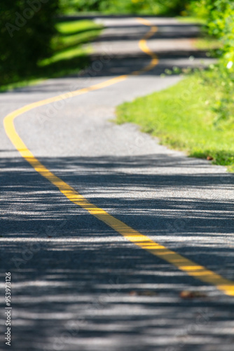 Empty urban cycling path winding through a wooded area on a bright late summer day