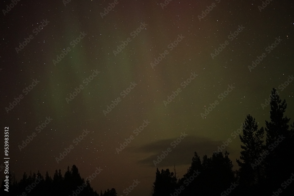 Naklejka premium Northern Lights in Finland