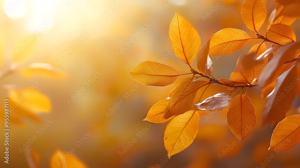 Autumn background with blurred golden leaves and sunlight. Background banner for the autumn season, a nature concept. Autumn background with blurred golden leaves and sunlight. Background banner for the autumn season, a nature concept.