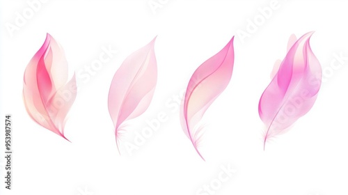 Elegant set of four semi-transparent pink feathers on a clean white background, perfect for nature or delicate-themed projects.