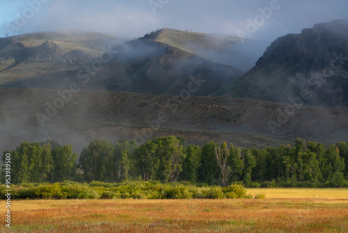 Morning Mist at Rocky Mountain National Park