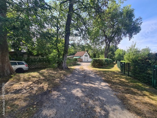 nature path in Berlin Rahnsdorf photo