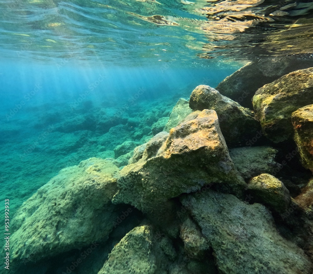 Seascape with the sun and swimming school of small fish. Snorkeling with the marine life, underwater travel photography. Wildlife in the ocean. Morning underwater, seascape with fish. Seascape with the sun and swimming school of small fish. Snorkeling with the marine life, underwater travel photography. Wildlife in the ocean. Morning underwater, seascape with fish.