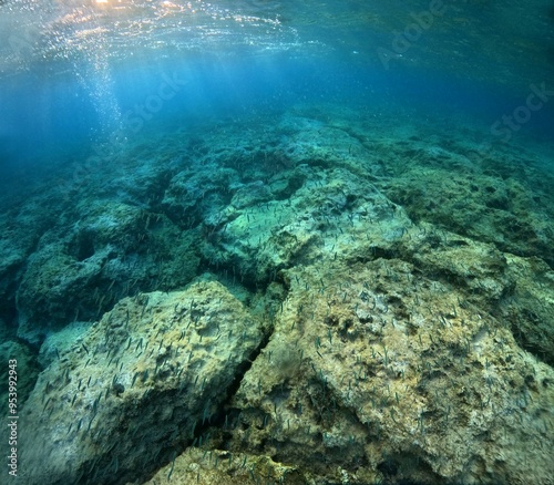 Seascape with the sun and swimming school of small fish. Snorkeling with the marine life, underwater travel photography. Wildlife in the ocean.