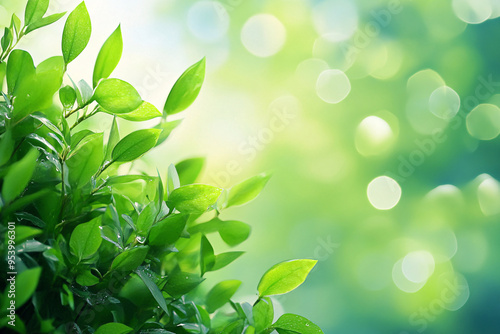 Vibrant green leaves glow softly in the sunlight against a blurred background creating a serene and refreshing atmosphere in nature 