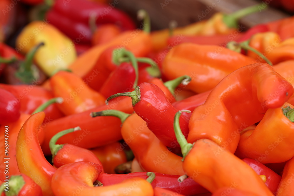 Farmers Market Fruits and Vegetables Farmers Market Fruits and Vegetables