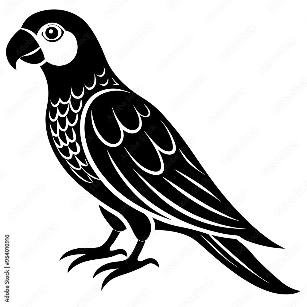 a parrot bird on a white background a parrot bird on a white background