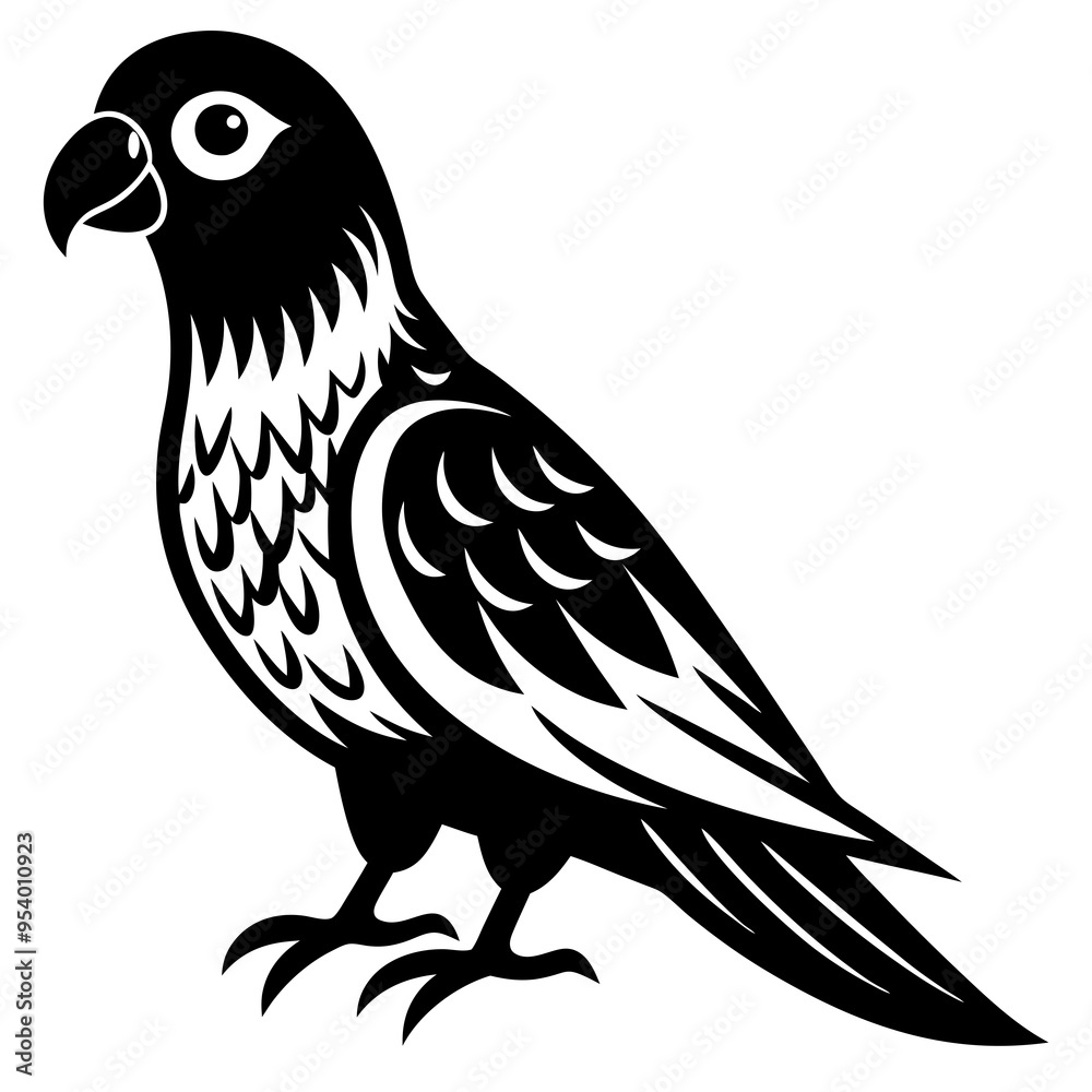 a parrot bird on a white background a parrot bird on a white background