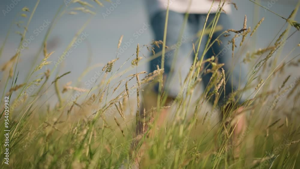The lower body of a kid wearing blue jean shorts is visible as they play and enjoy a sunny day in a grassy field. The close-up focus on the tall grass adds a sense of freedom and joy The lower body of a kid wearing blue jean shorts is visible as they play and enjoy a sunny day in a grassy field. The close-up focus on the tall grass adds a sense of freedom and joy