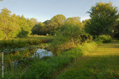 Wallpaper Mural Wide view over narrow blue water swamp canal with green grass and large trees on right side. Sunshine and shade in the early morning sun with a bright blue sky. Reflections of the sky in the water.  Torontodigital.ca