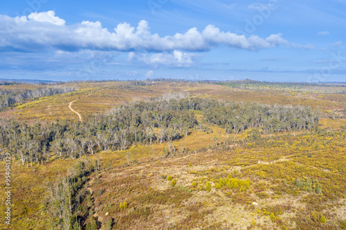 Drone aerial photograph of remote bushland in the Blue Mountains in New South Wales, Australia.