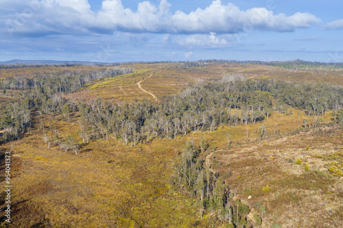 Drone aerial photograph of remote bushland in the Blue Mountains in New South Wales, Australia.