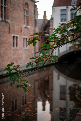 Channals of Brugges, Belgium photo