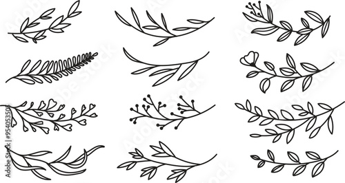 Minimalist Botanical Floral Line Art Clipart