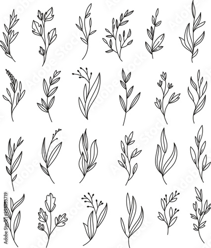 Minimalist Botanical Floral Line Art Clipart