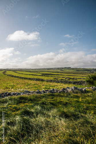 Фотография Normandy France Agricultural calamity green fields