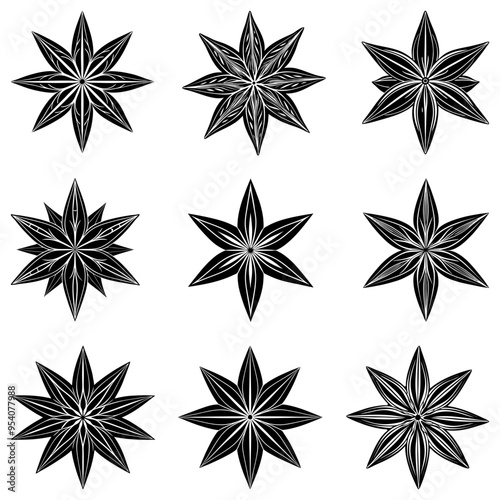 Anise icon. Set of black icons of star anise. Anise star icon isolated on white background. Vector illustration.