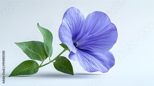 Vivid close-up photo of a butterfly pea flower’s delicate petals photo