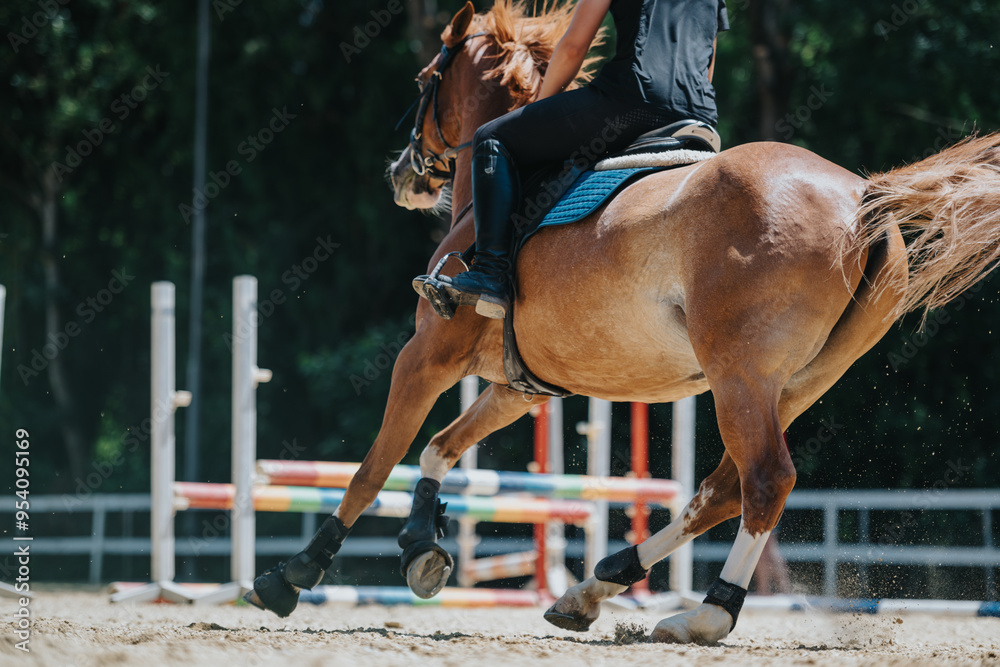 Obraz premium Rider participating in an equestrian jumping competition, showcasing skill and agility. The horse is in mid-gallop, emphasizing the dynamic movement and athleticism.