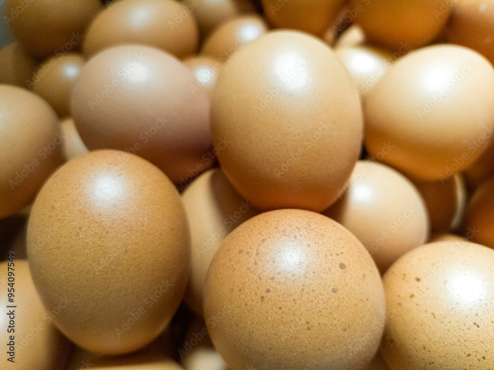 Chicken eggs for cooking Chicken eggs for cooking