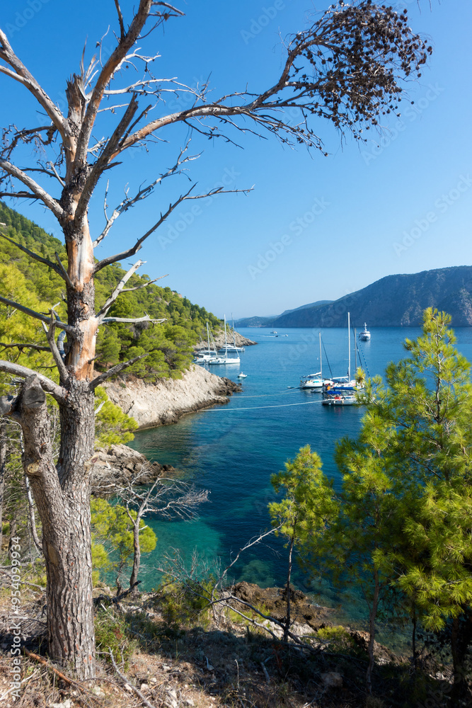 Φωτογραφία The beautiful coastline of Asos village, Kefalonia island, Greece