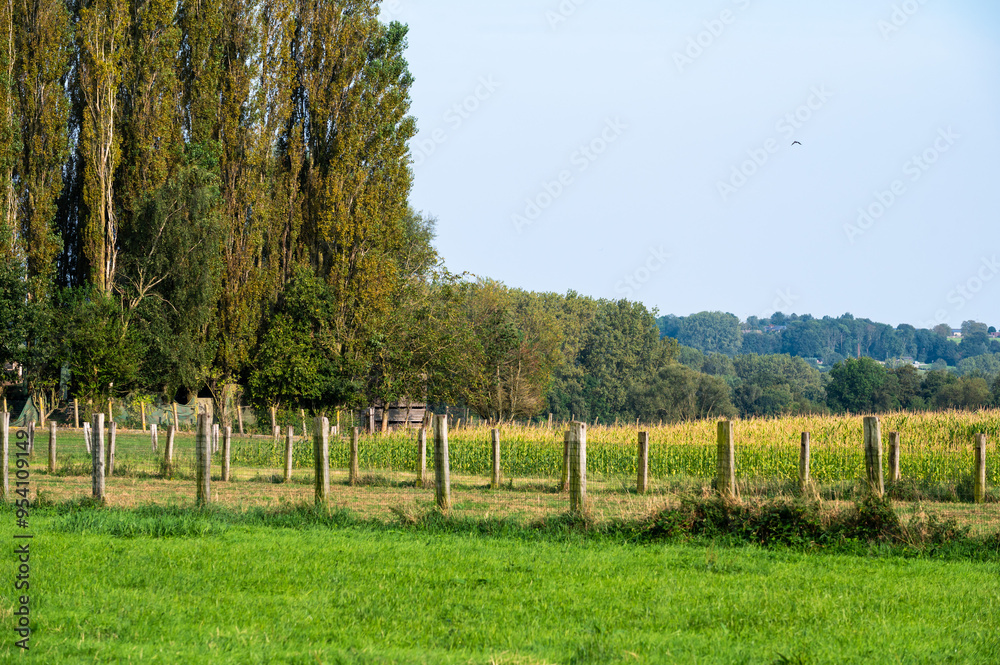 Green fields and meadows at the Flemish countryside in Affligem, Pajottenland, belgium Green fields and meadows at the Flemish countryside in Affligem, Pajottenland, belgium