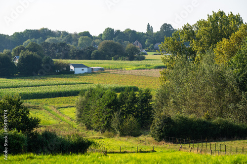 Green hills and trees at the Flemish countryside in Asse, Flemish Brabant, Belgium photo