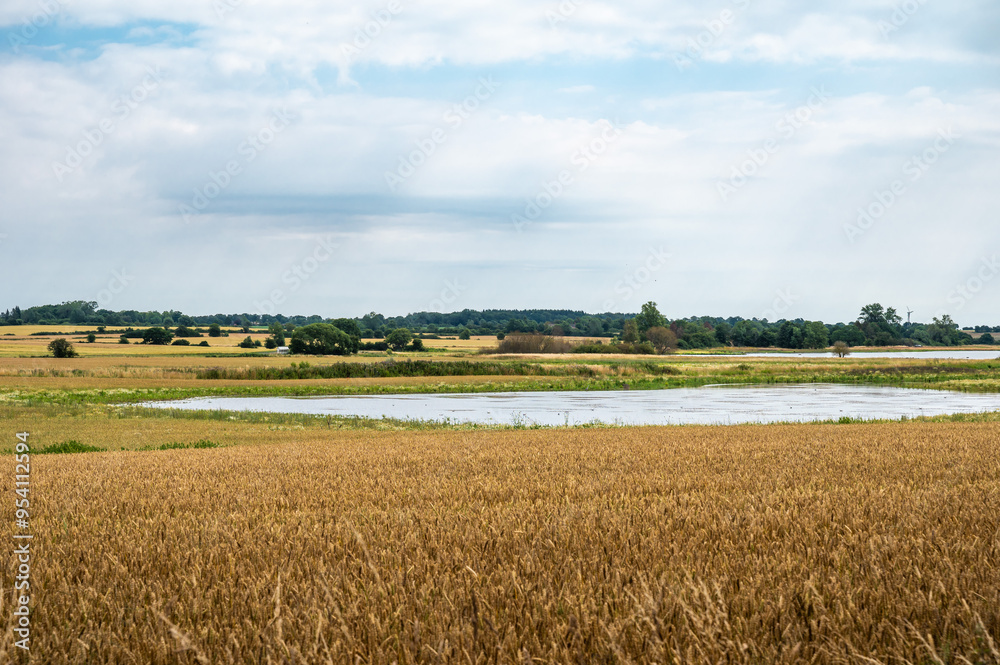 Obraz premium Colorful agriculture fields at the Danish countryside around Mosebolle, Denmark