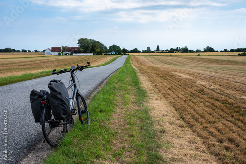 Golden wheat fields and trekking bike with paniers in Fakse Ladeplads, Seeland, Denmark