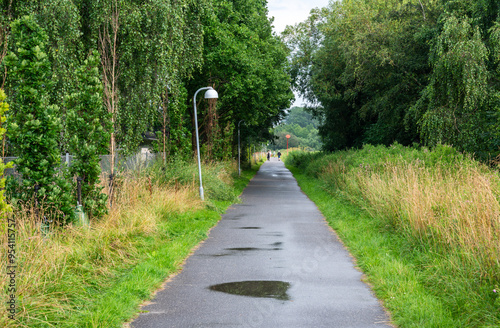 Cycling path through the woods of the Brondby strandpark, Copenhagen, Denmark photo