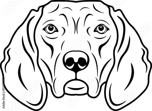 Redbone Coonhound