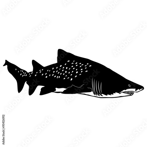 Sand Tiger Shark