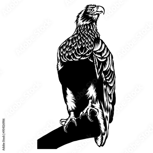 Sea Eagle