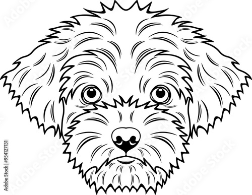 Shorkie