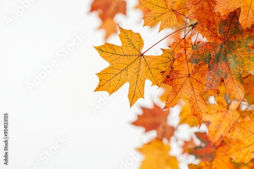 Autumn Maple Leaves Flat Lay White Background created with Generative AI