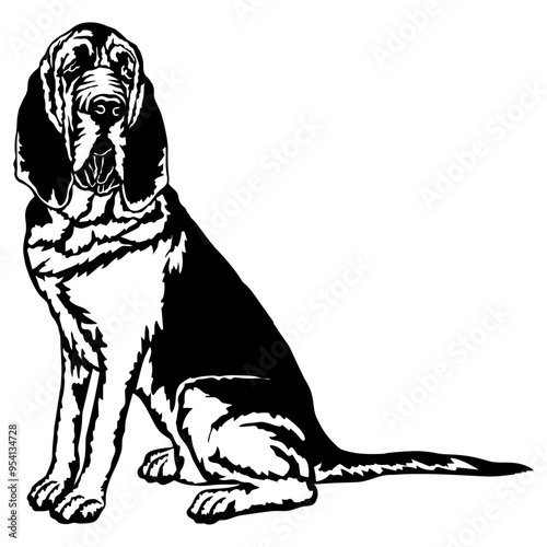 Sitting Bloodhound