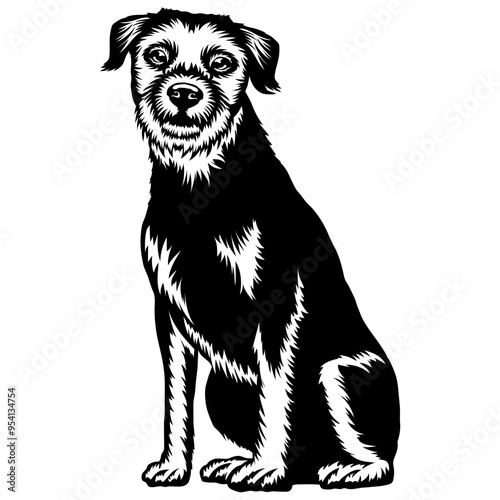 Sitting Border Terrier