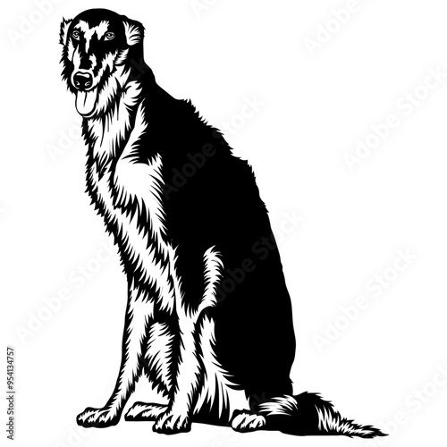 Sitting Borzoi
