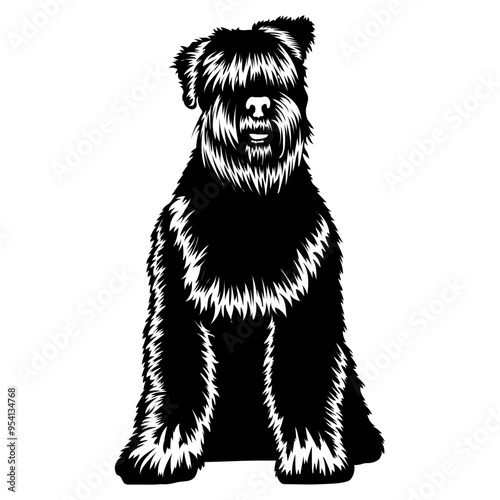 Sitting Bouvier des Flandres